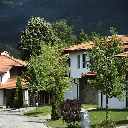 Volpe - Volpe Oreshak (Lovech)